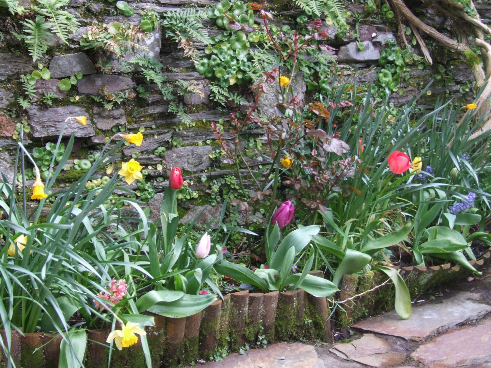 Inglenook Villa Kinsale Eksteriør billede